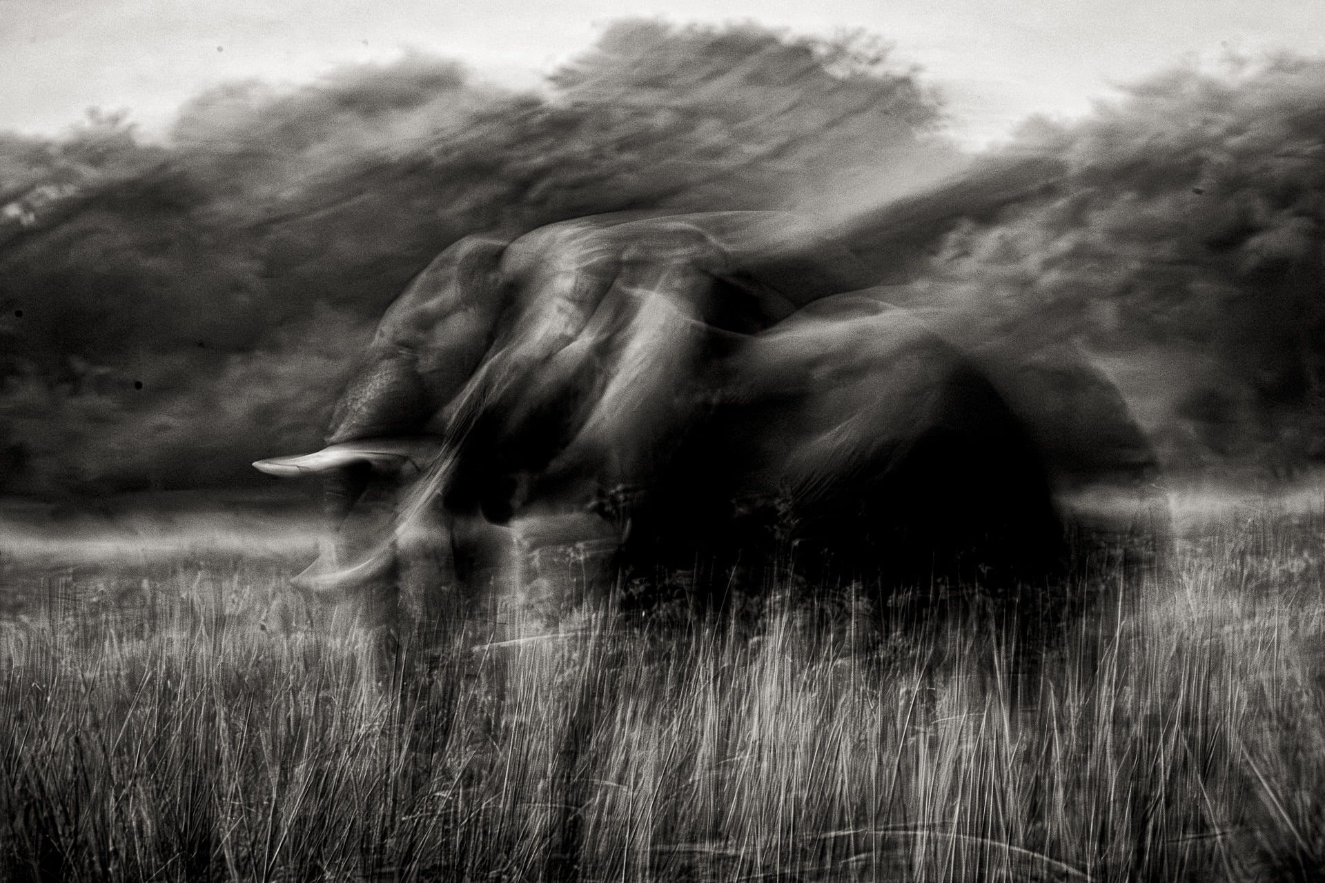 Photographing the Lower Zambezi: Two Habitats That Define the Experience