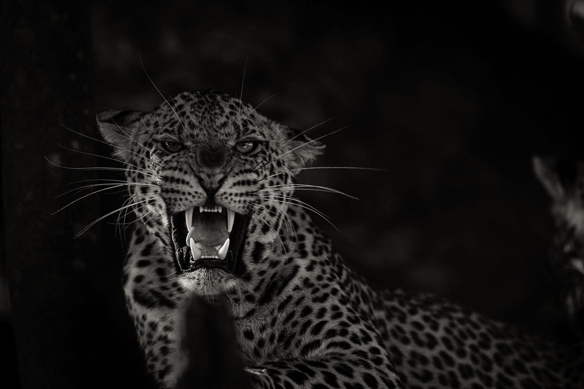 Botswana- You Beauty!!!