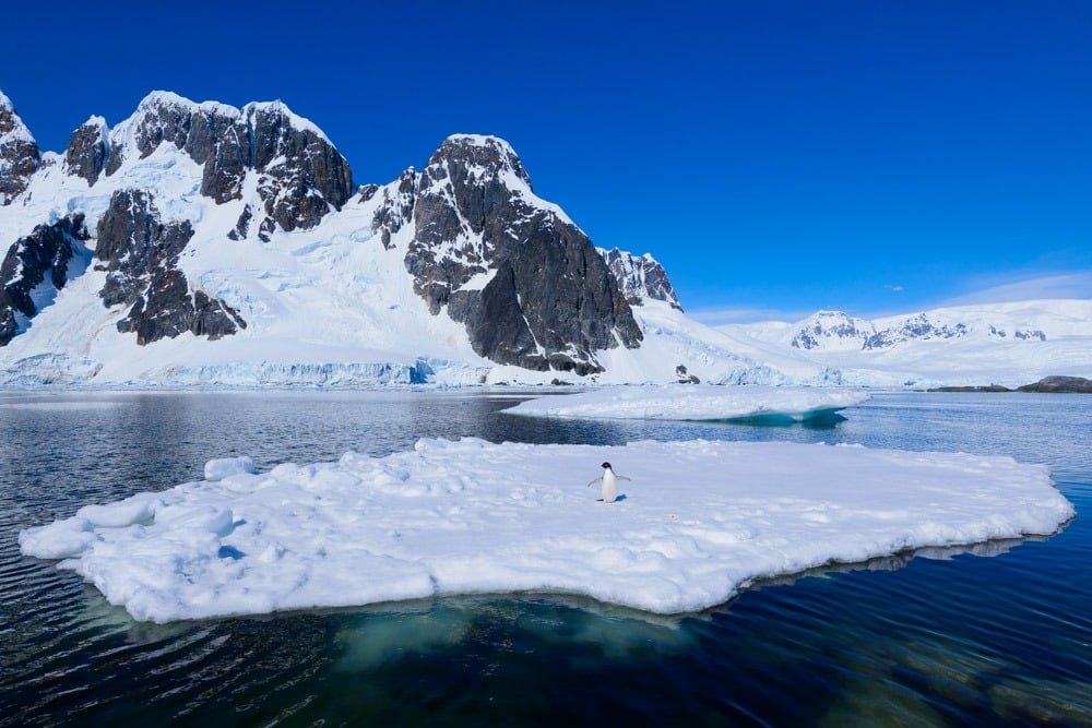 Antarctica Part 2 2016