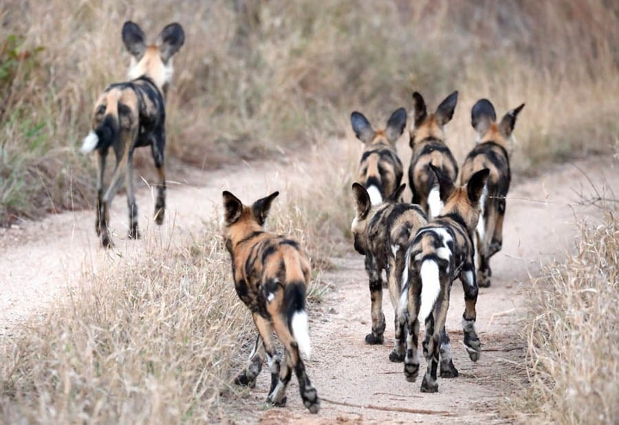 Another trip to Africa