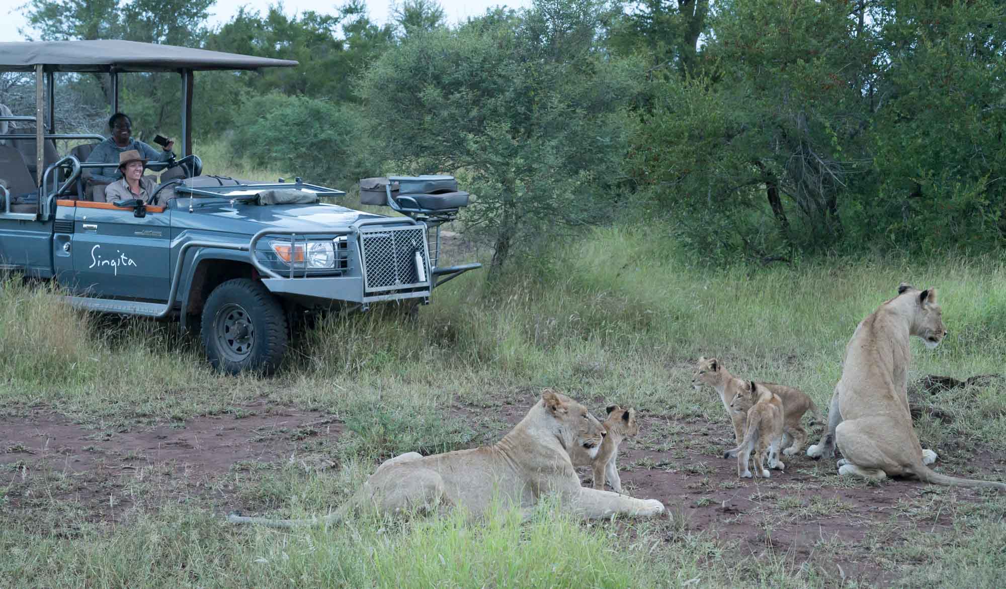 Travelling to South Africa? Here's What You Need to Know About the New Online Traveller Declaration