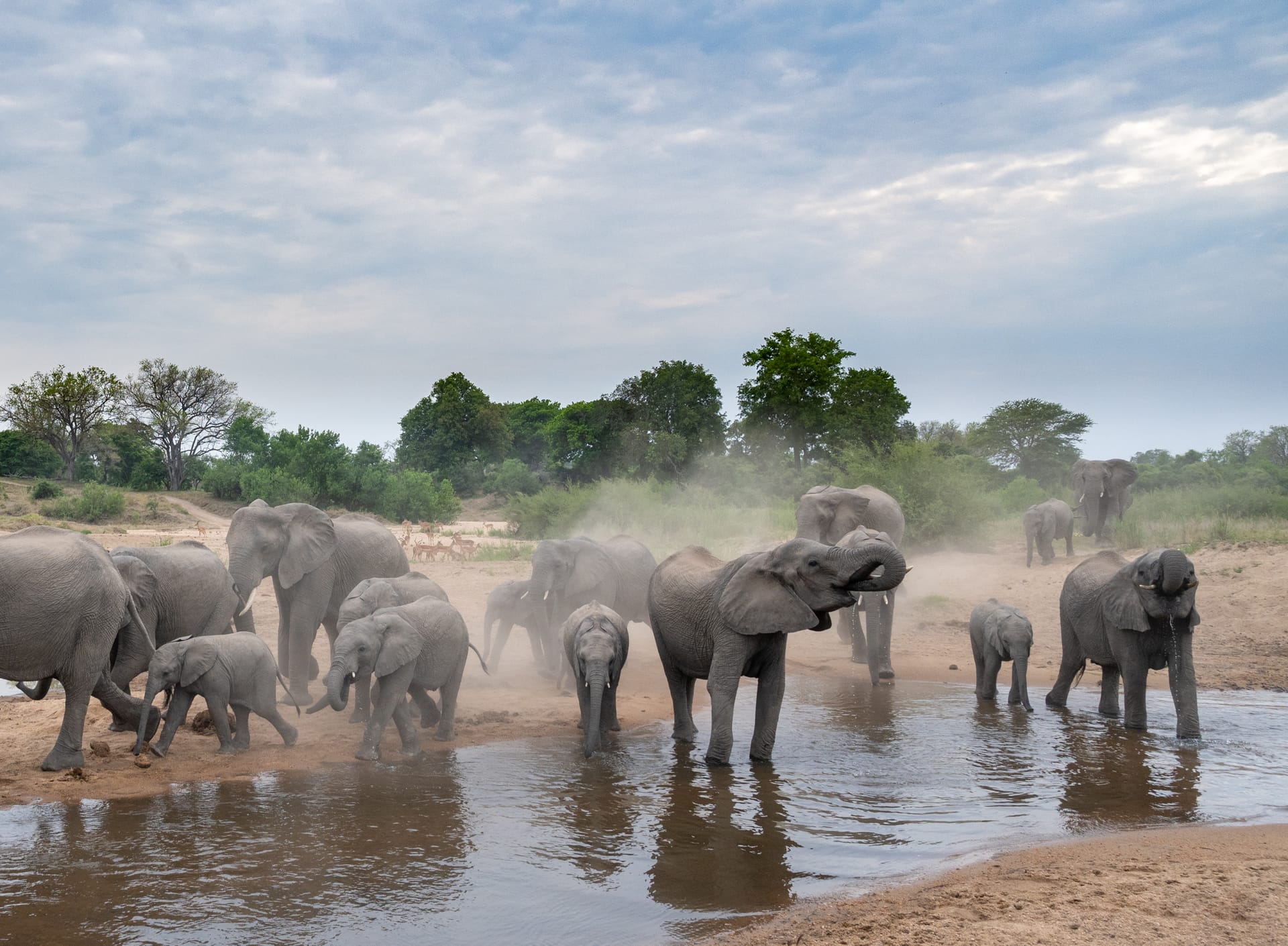 South Africa Photo Safaris
