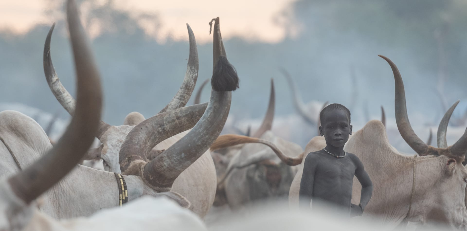 South Sudan Photo Safaris