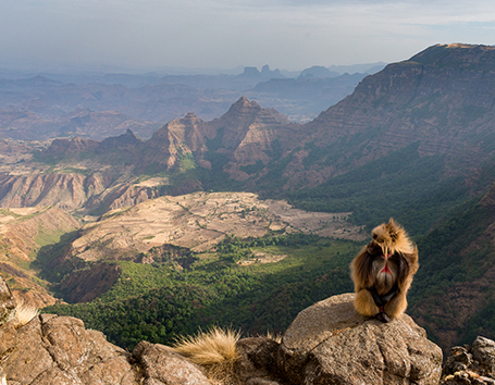 Ethiopia Photo Safaris