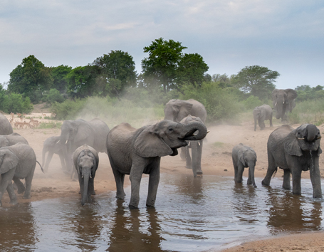 South Africa Photo Safaris
